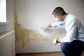 Best Mold Remediation for Healthcare Facilities  in Sahuarita, AZ